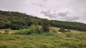 Terreno pertencente à família Santos e Rosa!